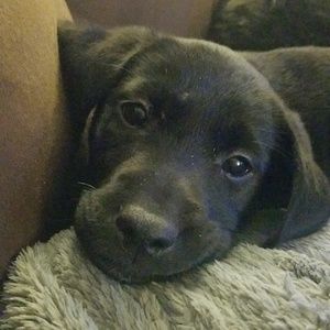 Meet your Posher, Claire